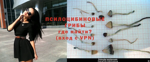 a pvp Козловка