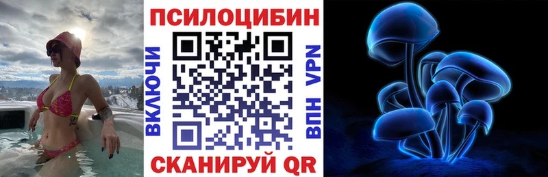 Псилоцибиновые грибы Psilocybe  Купить где  Биробиджан 